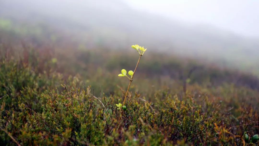 來(lái)爸媽在線學(xué)習(xí)后，我孩子的終生大事問(wèn)題解決了！