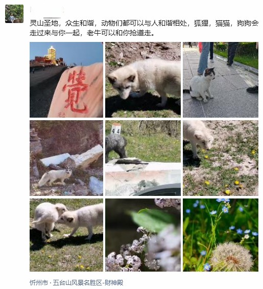 1729324937117558.jpg 1729324937117558.jpg