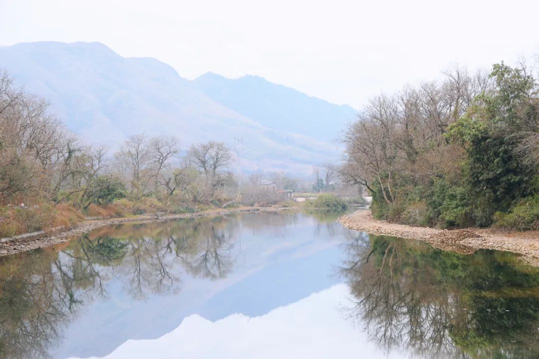 1751015380107222.jpg 1751015380107222.jpg