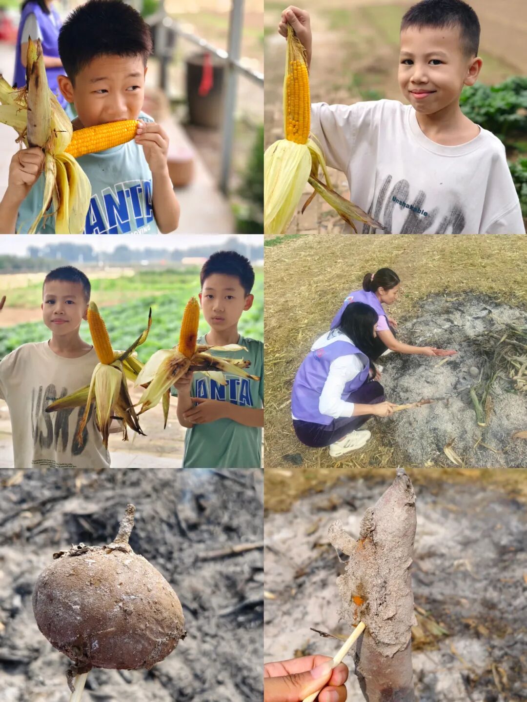 1760431630590697.jpg 1760431630590697.jpg